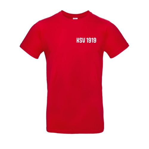 Fanshirt Falkenpower